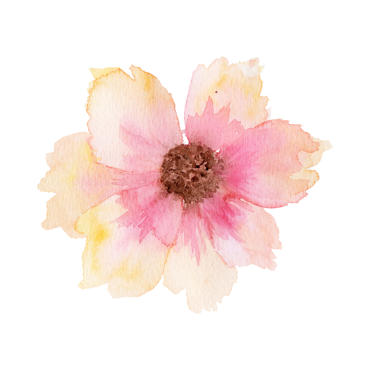 Cosmos