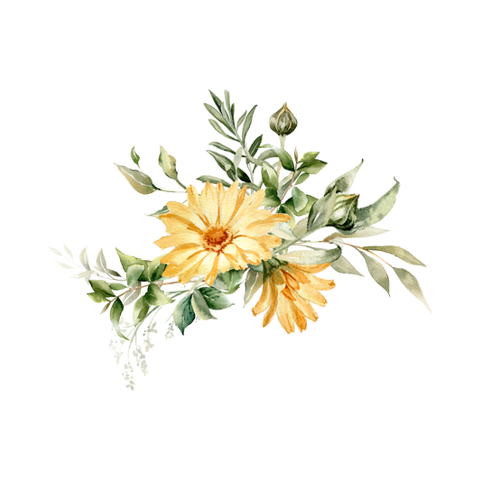 Calendula Orange Flash