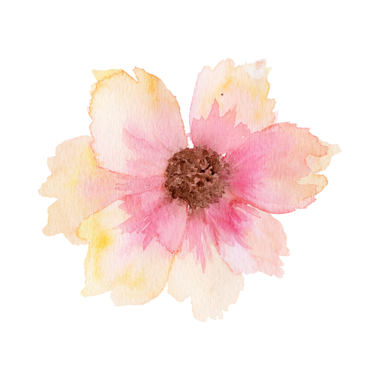Cosmos