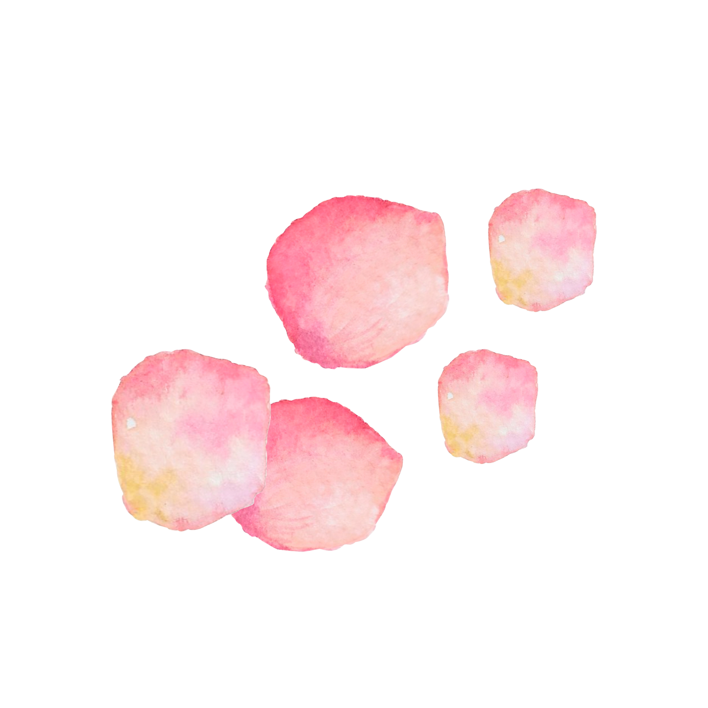 Rose Petals